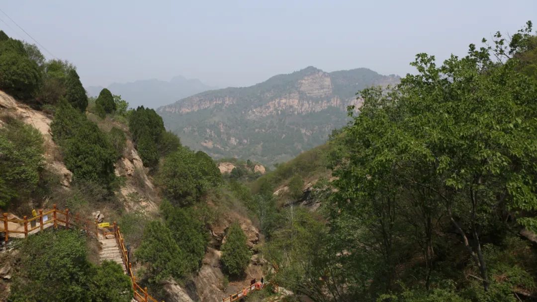 立足當“夏”，覓清涼 